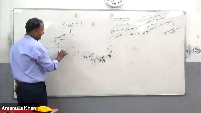 Understanding Glycolysis And Krebs Cycle In Cellular Respiration | SDIF | Shaheen Academy