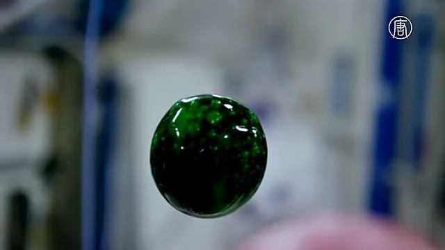 Новейшая видеокамера 4K Ultra HD прошла испытание на МКС (новости) смотреть онлайн