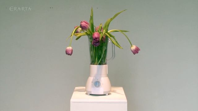 Выставка «Ащущения Другова». «Манифеста 10» смотреть онлайн