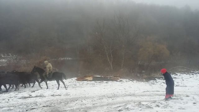 Гомаш ламчохь смотреть онлайн