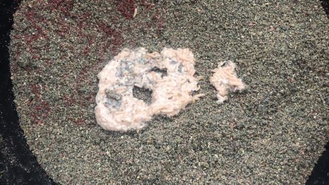 РЫБАЛКА на ОКЕ / Конец ОКТЯБРЯ / ЛЕЩ Уходит в ЯМЫ / КАК И НА ЧТО ЛОВИТЬ ОСЕНЬЮ ??? смотреть онлайн