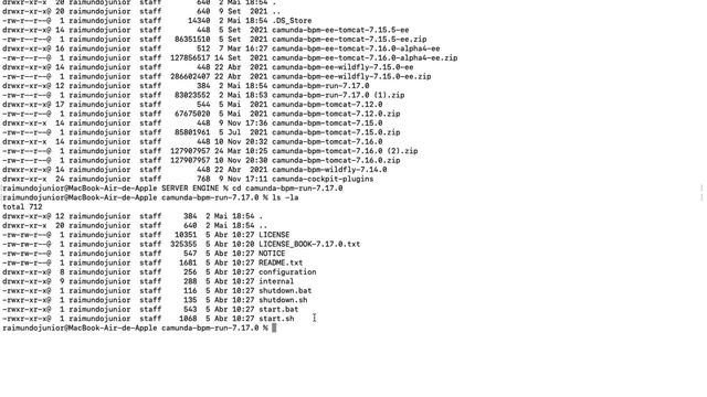 10 - Downloading and starting Camunda Platform 7 Run смотреть онлайн