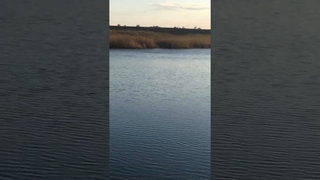 Батя рыбачит смотреть онлайн