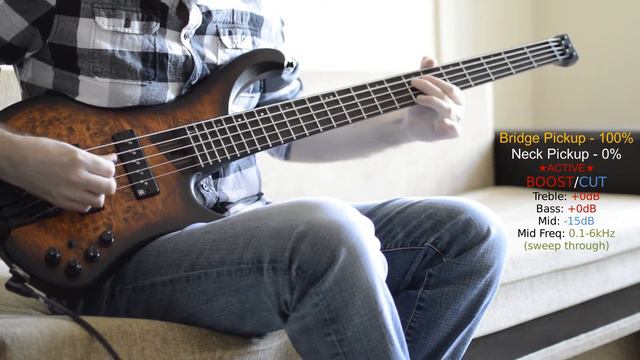 Ibanez EHB1505 Demo + Review | 5 String Headless BASS | Clean & High Gain ORANGE Tube Amp + HESU Ca
