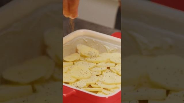 Грибной ковчег