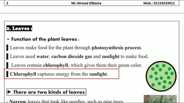 Grade 5 | Science | Unit 1 - Concept 1 - Lesson 4 - Parts of a Plant смотреть онлайн