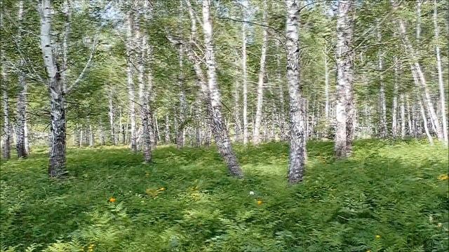 ВЕСНА - ПОДСНЕЖНИКИ смотреть онлайн