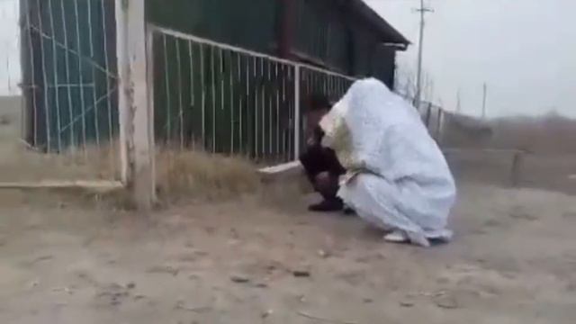 Рузи ТУЙ дар КАБРИСТОН! Ба пеши кабри Модар! Как думаете правильно сделал?! Оё тури аст? смотреть онлайн