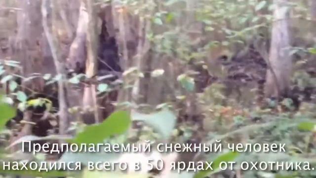 В Сеть попало видео, доказывающее существование снежного человека смотреть онлайн