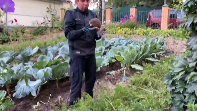 У страха глаза велики. #словографика смотреть онлайн