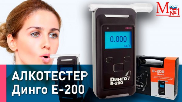 Алкотестер профессиональный Динго Е-200 (Dingo E-200)