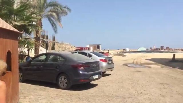 Aqua Palms Resort owner taking about the Aqua's Sept 2020 смотреть онлайн