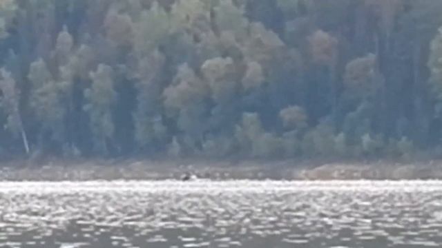Зарисовки с Сисима смотреть онлайн
