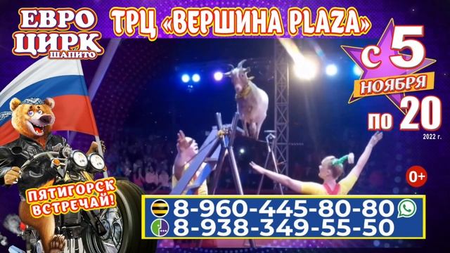 Евро цирк в Пятигорске смотреть онлайн