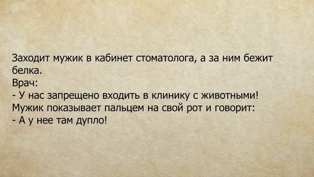 Что делать мужику в командировке если к его жене ходят толпы любовников. Анекдоты для настроения. смотреть онлайн