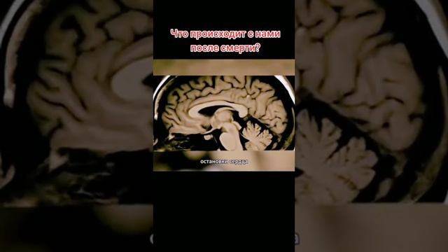 Что происходит с человеком после его смерти? смотрите. лайк и подписка на канал!