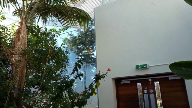 VLOG: Путешествуем с детьми по Англии - Jephson Gardens в Лемингтон Спа смотреть онлайн