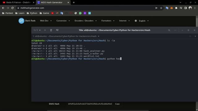 Python Hash Cracker смотреть онлайн