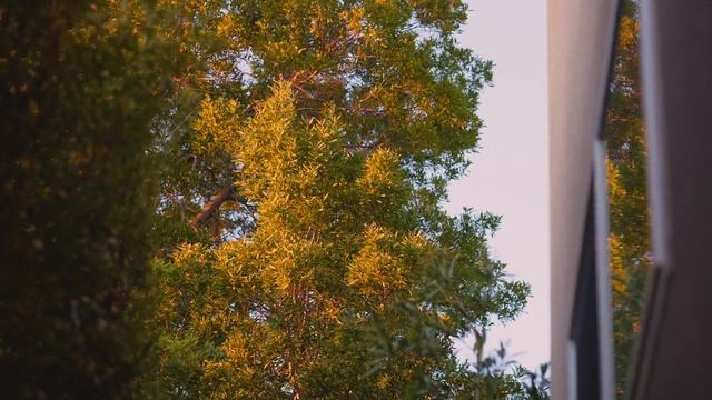 [Slow Living Vlog] Finding My Daily Rhythm When Life Is Overwhelming смотреть онлайн