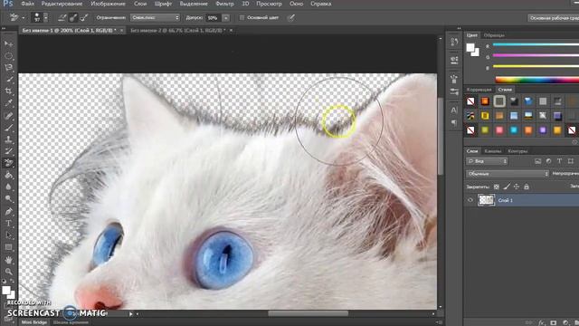 Как отделить от фона объект с волосами, шерстью, мехом || Инструмент Ластик смотреть онлайн