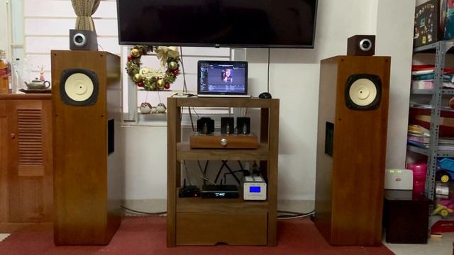 Fostex FE204/Fostex Horn Super Tweeter FT17H, DAC Topping D90, Amply Tube EL84/12AX7