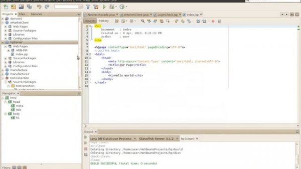java netbeans restful web service