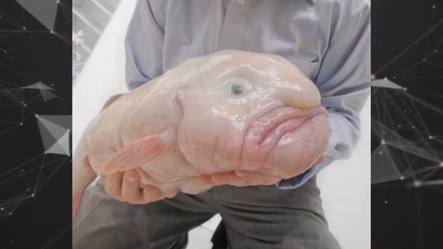 Удивительные существа смотреть онлайн