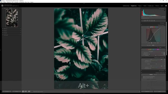 Обработка фото в Lightroom / Осенний MOODY DARK / ретушь кривыми в Лайтрум смотреть онлайн