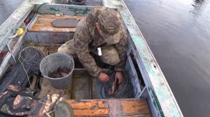 Промысловая рыбалка СЕТЯМИ в Коми республике 2020.