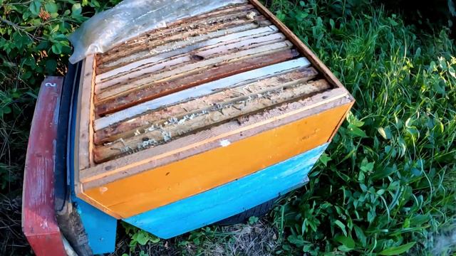 10 июля Весы начали прибавлять смотреть онлайн