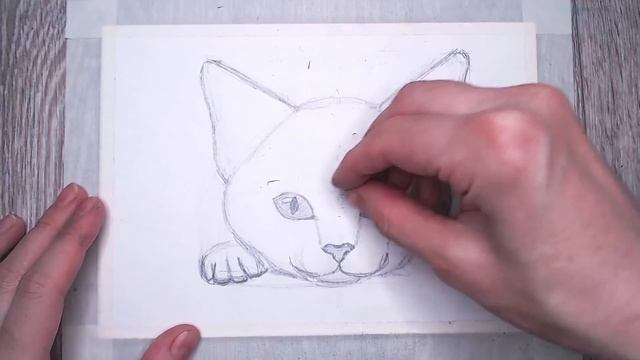 Как нарисовать кота карандашом смотреть онлайн