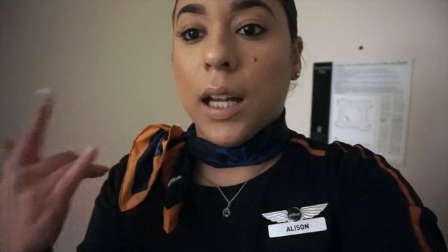 VLOG: First Layover in San Juan | FA LIFE ✈️ смотреть онлайн