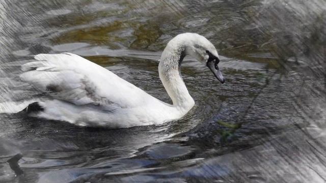 Sommer In Meiner Stadt Bayreuth TierPark.#tierpark #röhrensee #frühlingsanfang #freuen #Bayreuth #H