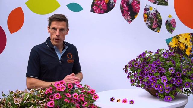 Calibrachoa TikTok - Showgarden Highlights 2021 EN смотреть онлайн