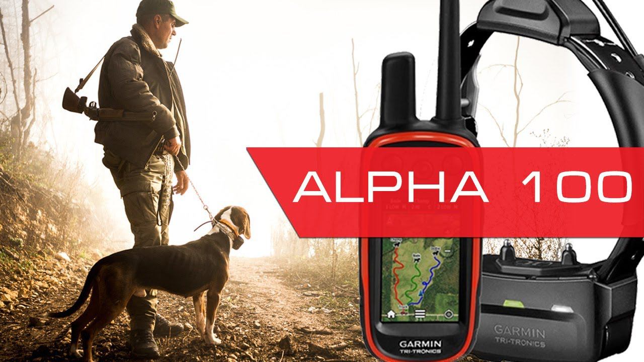 Радиоошейник для охоты Garmin Alpha 100 - реальный тест дальности смотреть онлайн