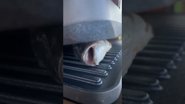 Веганские Ресторанчики и Кафе