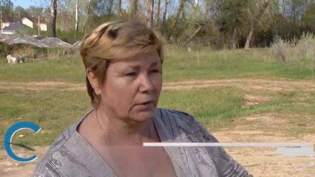 Реакция прокуратуры на вырубку деревьев в Энгельсе смотреть онлайн