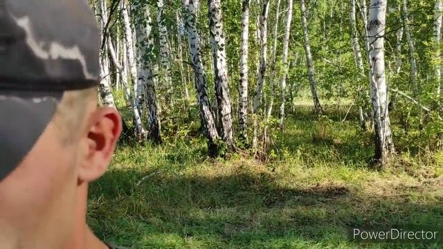 Российская ГЛУБИНКА ? Заготовка дров на зиму ? Как живут в деревне смотреть онлайн