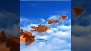 Игорь Кибирев  Избранное