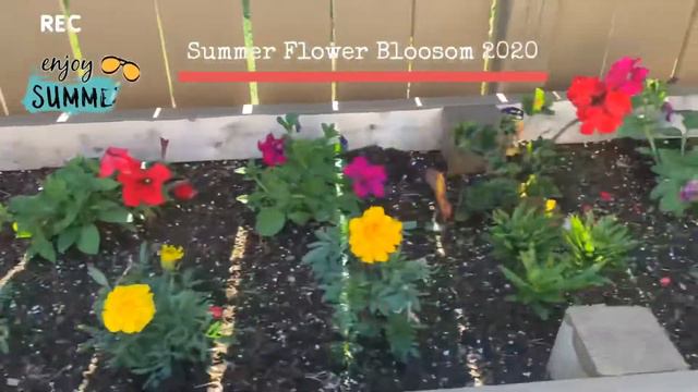 Summer Flower Season смотреть онлайн