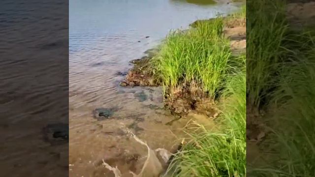 Рыбалка в Ханты-Мансийске ? смотреть онлайн