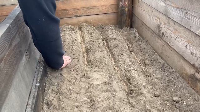 Вырастим лес вместе. В Бурятии появился новый лесопитомник смотреть онлайн