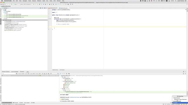 Android Studio - Git - práce s Branches (pouze local repo) смотреть онлайн