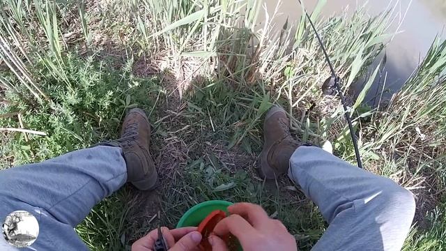 Ловля сазана и карасей на Флэт фидер. Поиск рыбы. смотреть онлайн