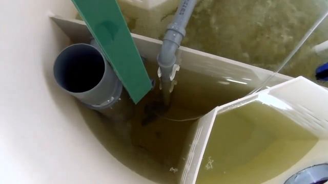 Принцип работы Biodevice ECO смотреть онлайн