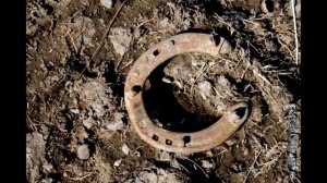 Народные приметы про подкову