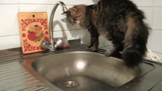 А без воды смотреть онлайн