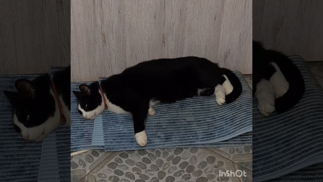 Как прошёл мой год смотреть онлайн
