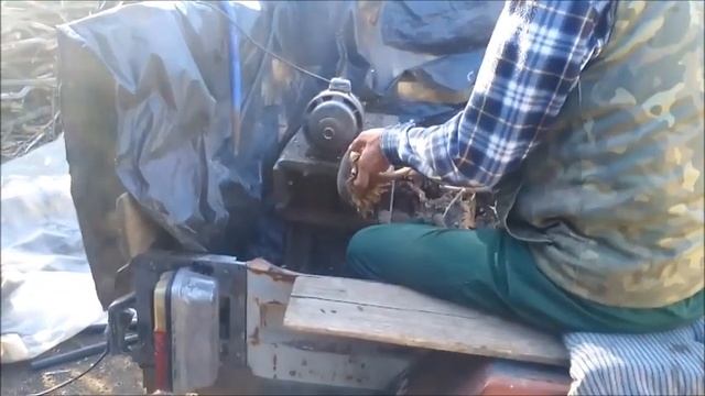 Комбайн для выбивание шляпок подсолнуха, Чистка семечек подсолнуха смотреть онлайн