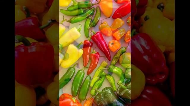 "Перец горький, перец сладкий" смотреть онлайн